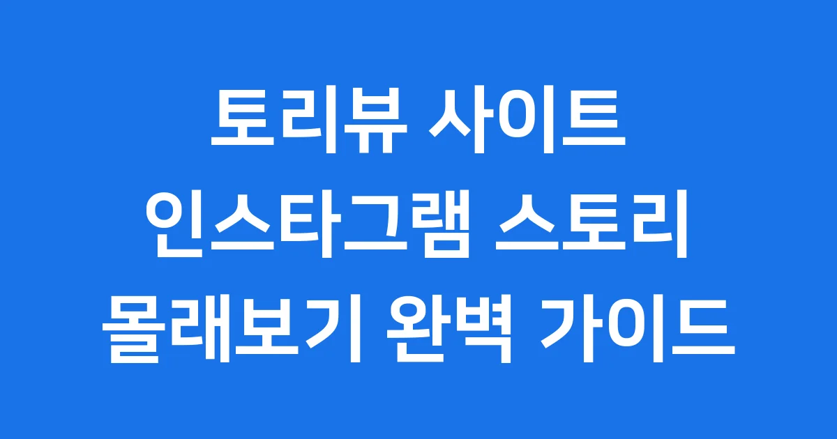 토리뷰 사이트: 인스타그램 스토리 몰래보기 완벽 가이드