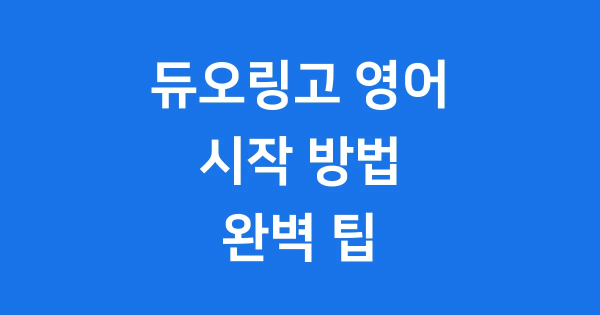 듀오링고 영어 시작 방법 학습 팁