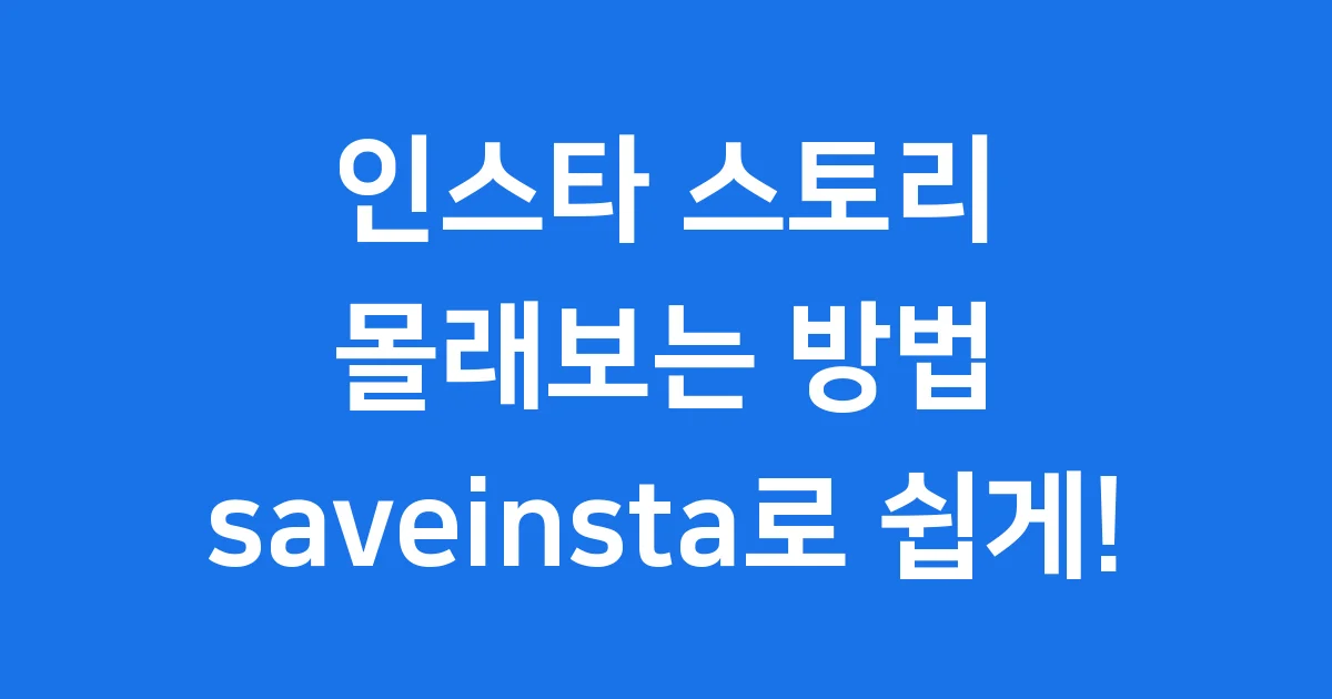 인스타 스토리 몰래보기 saveinsta