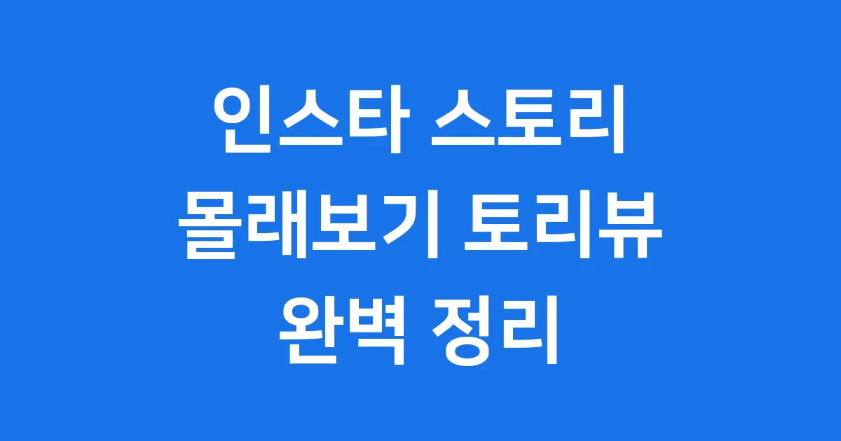 인스타 스토리 몰래보기 토리뷰 2025년 완벽 정리